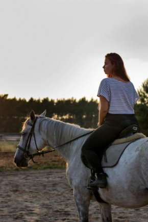 White Pony agroturystyka i stajnia